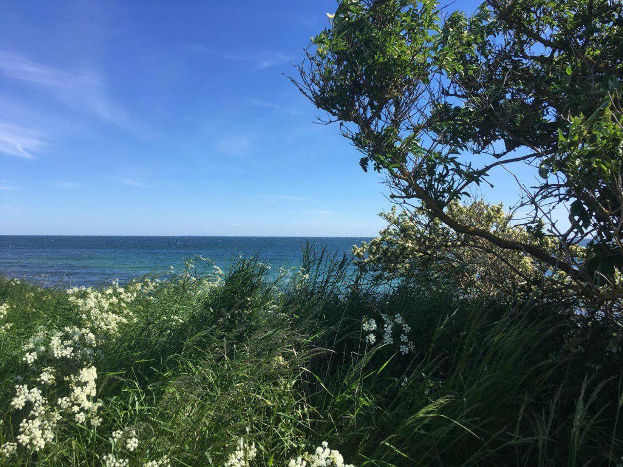 Traumhaftes Strand-Apartment Mit Meerblick Staberdorf 외부 사진